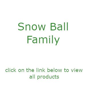 Snow Ball Family